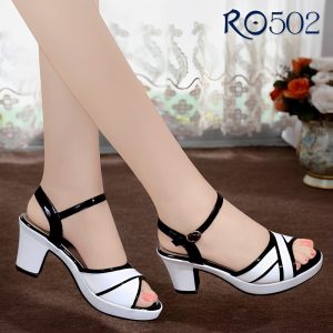 RO502 TRANG 3
